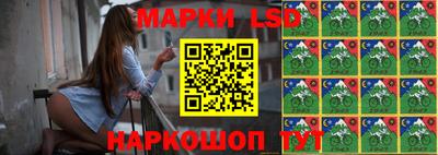 крисы Заводоуковск