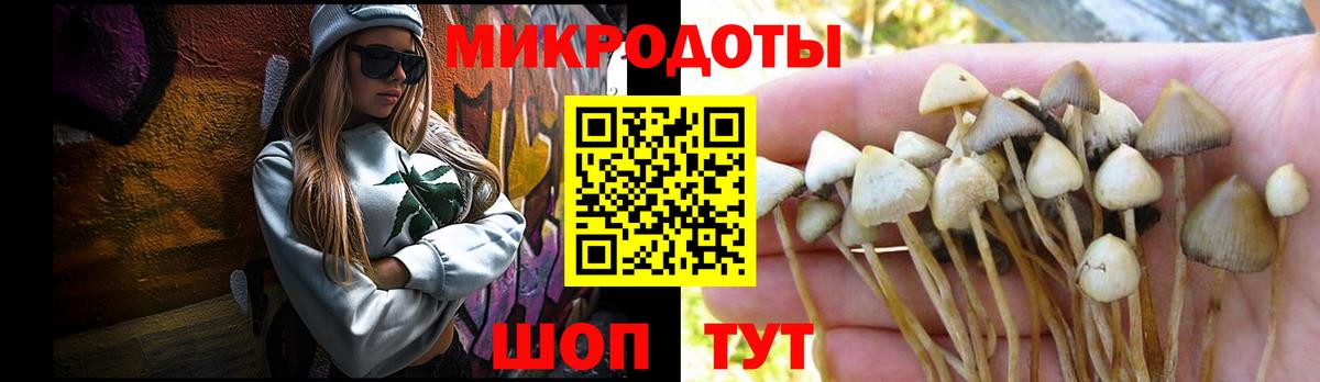 Галлюциногенные грибы MAGIC MUSHROOMS Медногорск